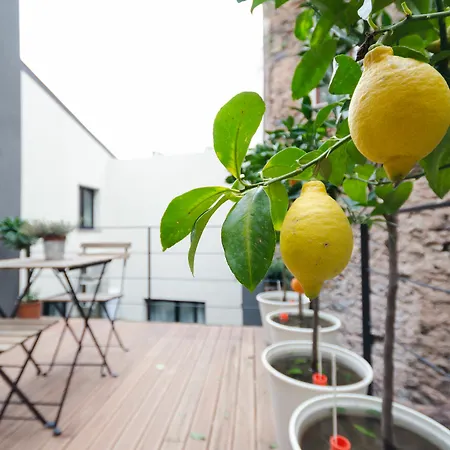 Apartment Pietranera Catania