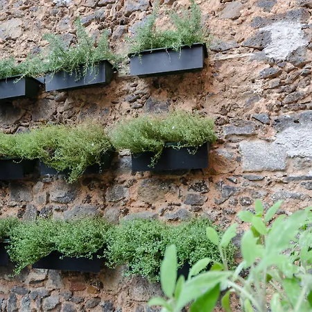 Pietranera * Katania